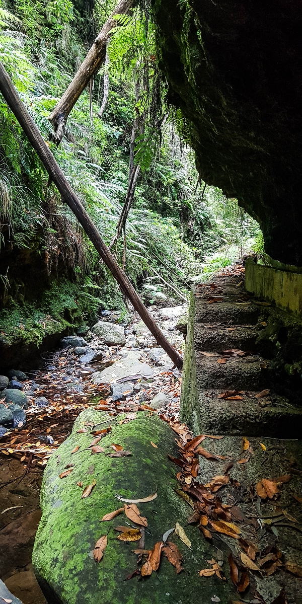 Levada Nova — The third stream crossing with the feeder levada — photo 6