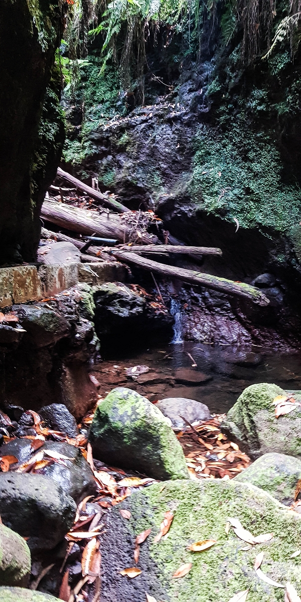 Levada Nova — The third stream crossing with the feeder levada — photo 7