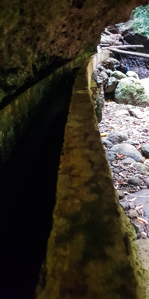 Levada Nova — The third stream crossing with the feeder levada — photo 8