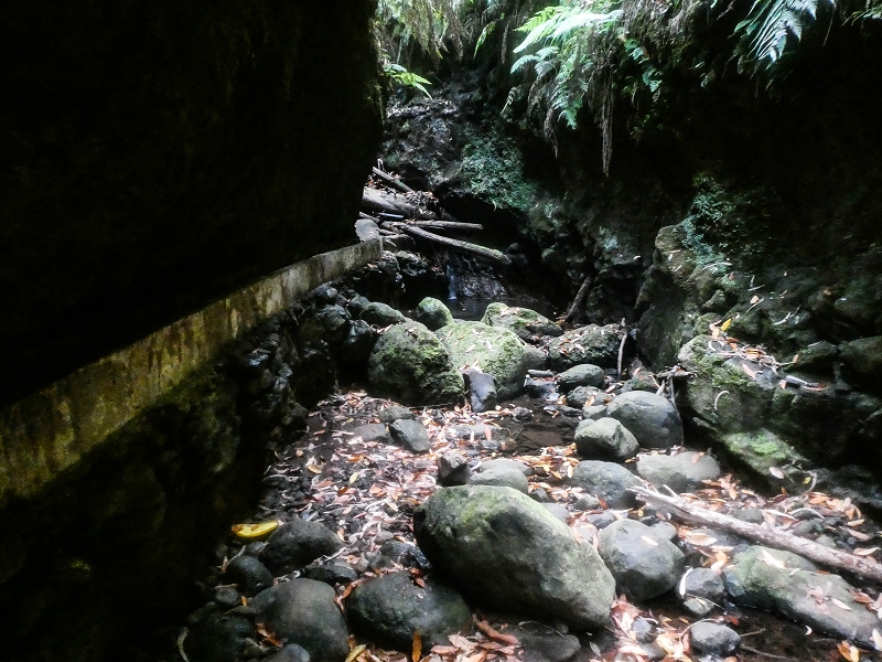 Levada Nova — The third stream crossing with the feeder levada — photo 10