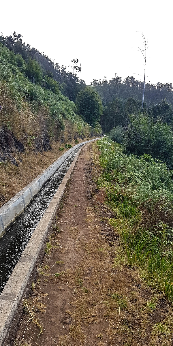 05.08.2021 Auf einem der schönsten Abschnitte der Levada Nova zwischen Arco Calheta und Canhas — Typischer Nova-Verlauf zu Beginn — Foto 5