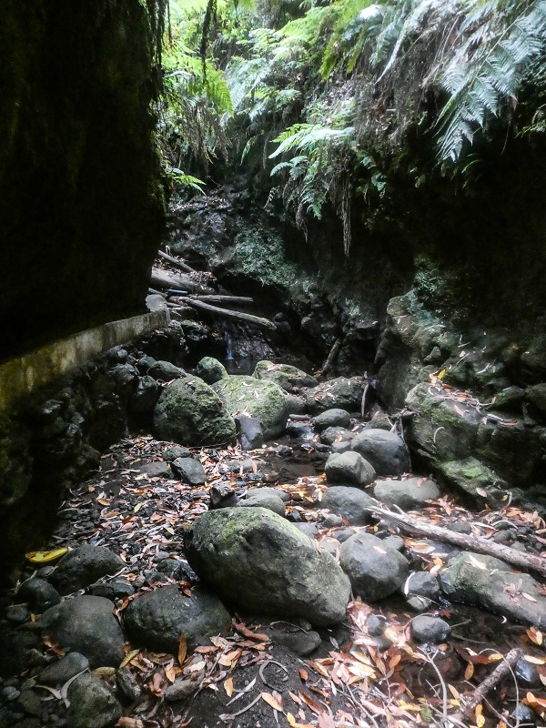 Levada Nova — The third stream crossing with the feeder levada — photo 11