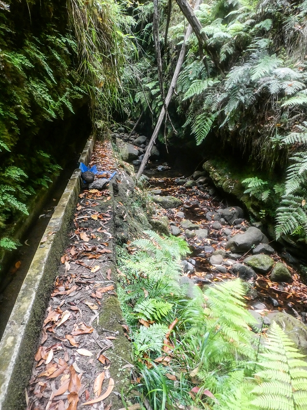 Levada Nova — The third stream crossing with the feeder levada — photo 12
