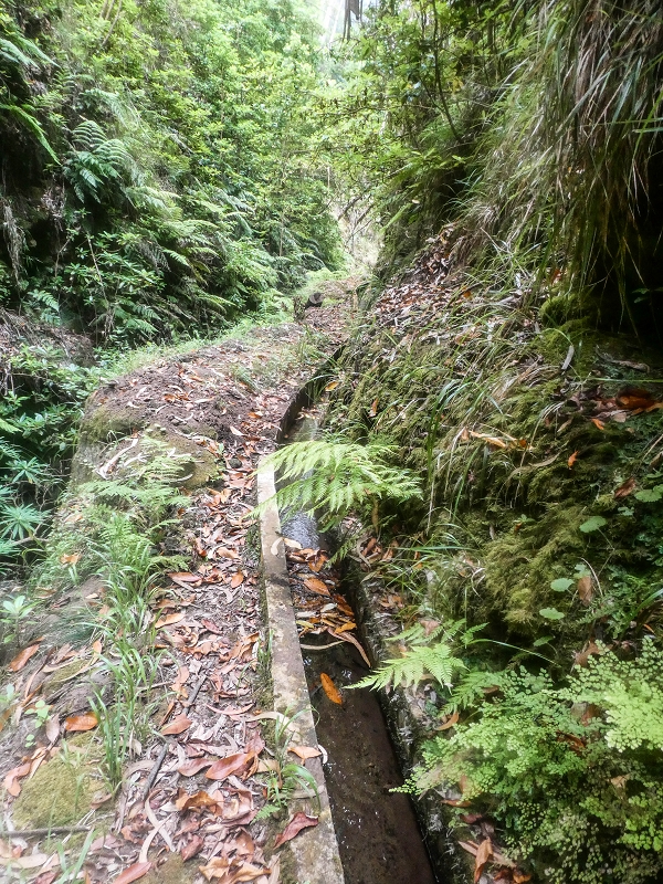 Levada Nova — The third stream crossing with the feeder levada — photo 13