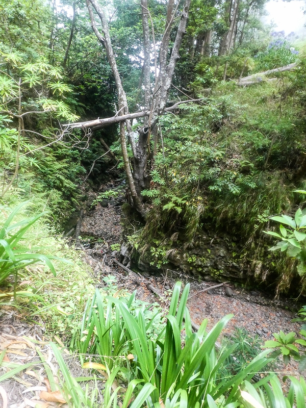 Levada Nova — On above the gorge towards Barreiro e Feiteiras — photo 1