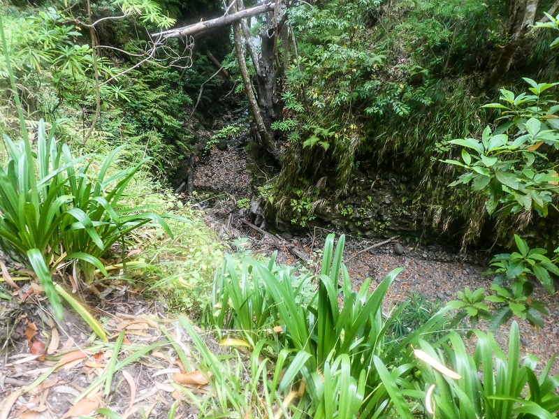 Levada Nova — On above the gorge towards Barreiro e Feiteiras — photo 2