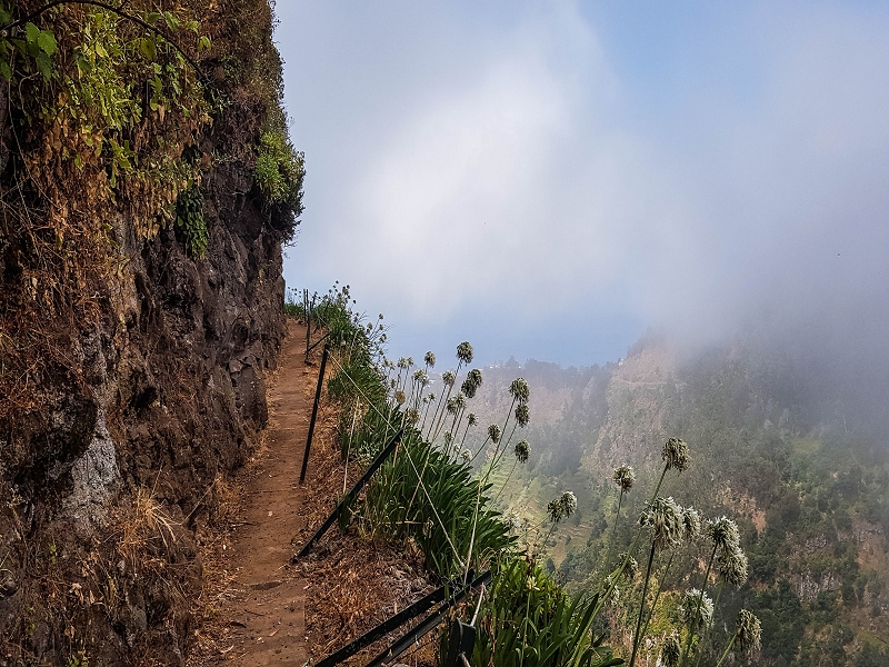 Levada Nova — On above the gorge towards Barreiro e Feiteiras — photo 4