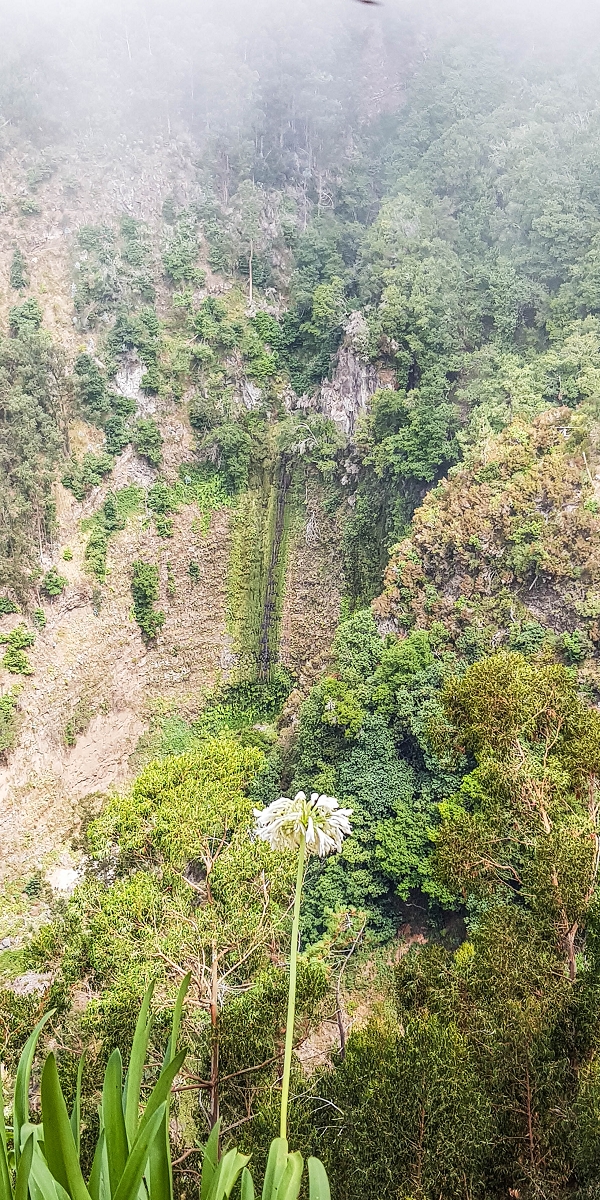 Levada Nova — On above the gorge towards Barreiro e Feiteiras — photo 5
