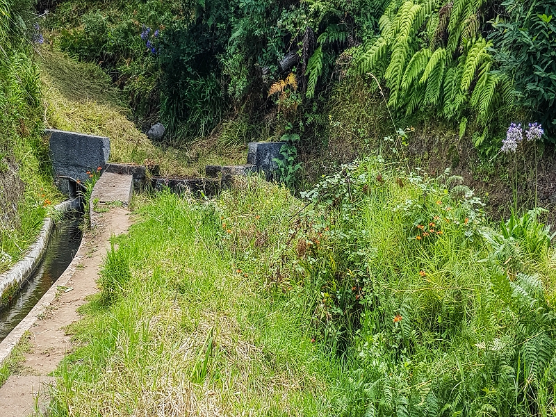 Levada Nova — From Barreiro e Feiteiras to Carvalhal e Carreira — photo 1