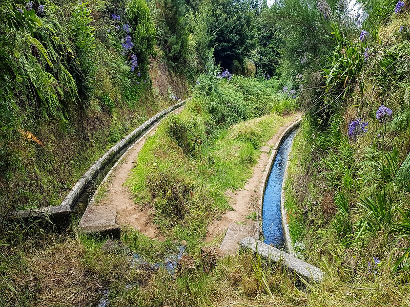 Levada Nova — From Barreiro e Feiteiras to Carvalhal e Carreira — photo 2