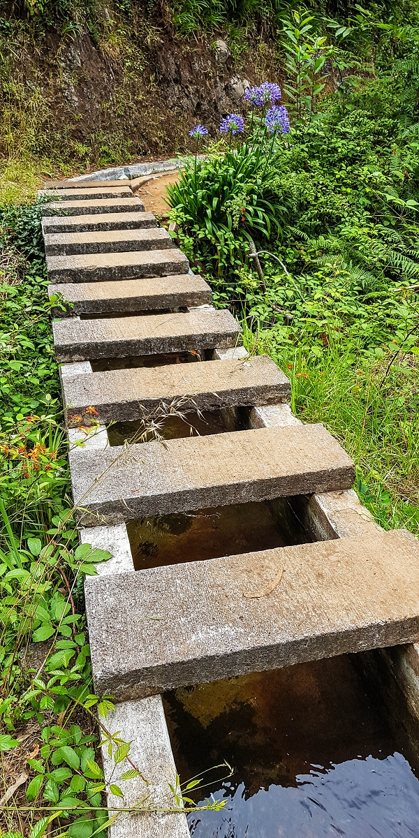 Levada Nova — From Barreiro e Feiteiras to Carvalhal e Carreira — photo 3