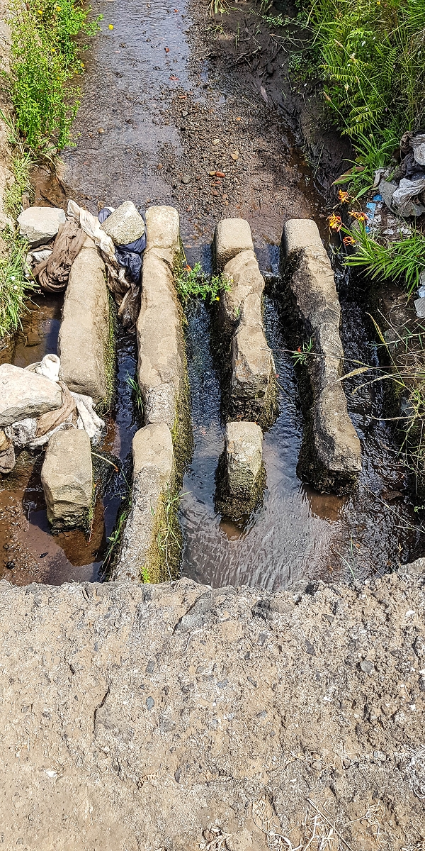 05.08.2021 Auf einem der schönsten Abschnitte der Levada Nova zwischen Arco Calheta und Canhas — Die prägnanten Levadateiler der Levada Velha das Canhas — Foto 2