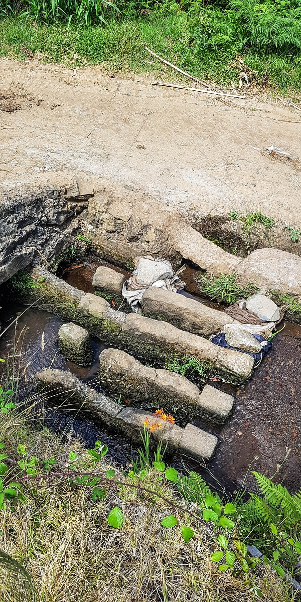 05.08.2021 Auf einem der schönsten Abschnitte der Levada Nova zwischen Arco Calheta und Canhas — Die prägnanten Levadateiler der Levada Velha das Canhas — Foto 3