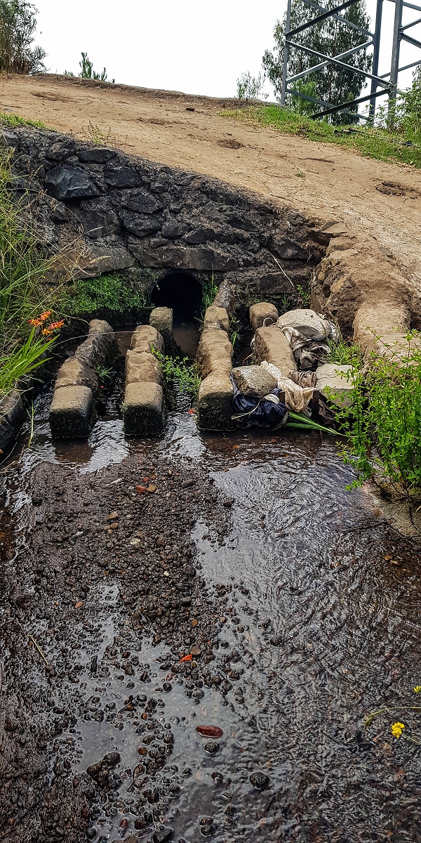 05.08.2021 Auf einem der schönsten Abschnitte der Levada Nova zwischen Arco Calheta und Canhas — Die prägnanten Levadateiler der Levada Velha das Canhas — Foto 4