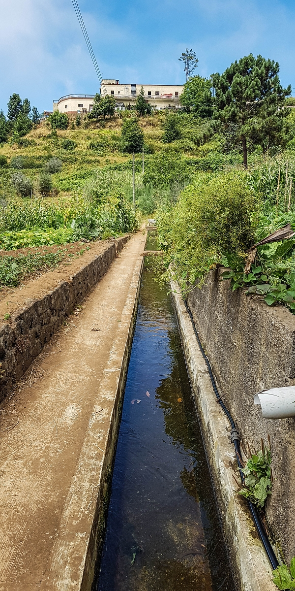 Levada Nova — From Barreiro e Feiteiras to Carvalhal e Carreira — photo 4