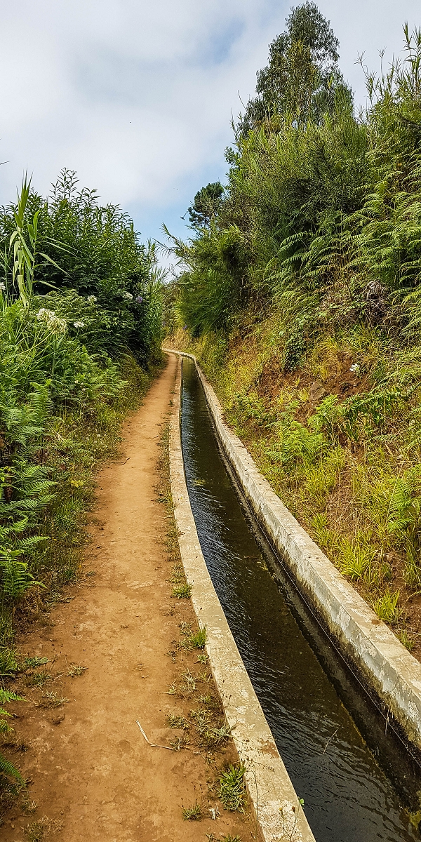 Levada Nova — From Barreiro e Feiteiras to Carvalhal e Carreira — photo 6