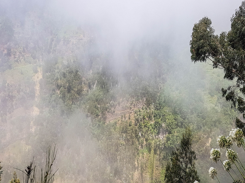05.08.2021 Auf einem der schönsten Abschnitte der Levada Nova zwischen Arco Calheta und Canhas — Zurück zur mittleren Bachpassage — Foto 1