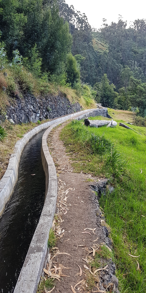 Levada Nova — Between Arco da Calheta and the first stream crossing — photo 3