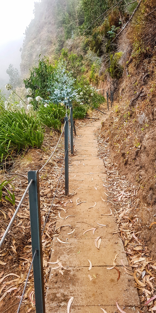 05.08.2021 Auf einem der schönsten Abschnitte der Levada Nova zwischen Arco Calheta und Canhas — Zurück zur mittleren Bachpassage — Foto 2