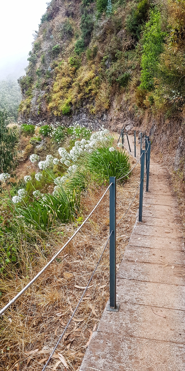 05.08.2021 Auf einem der schönsten Abschnitte der Levada Nova zwischen Arco Calheta und Canhas — Zurück zur mittleren Bachpassage — Foto 3