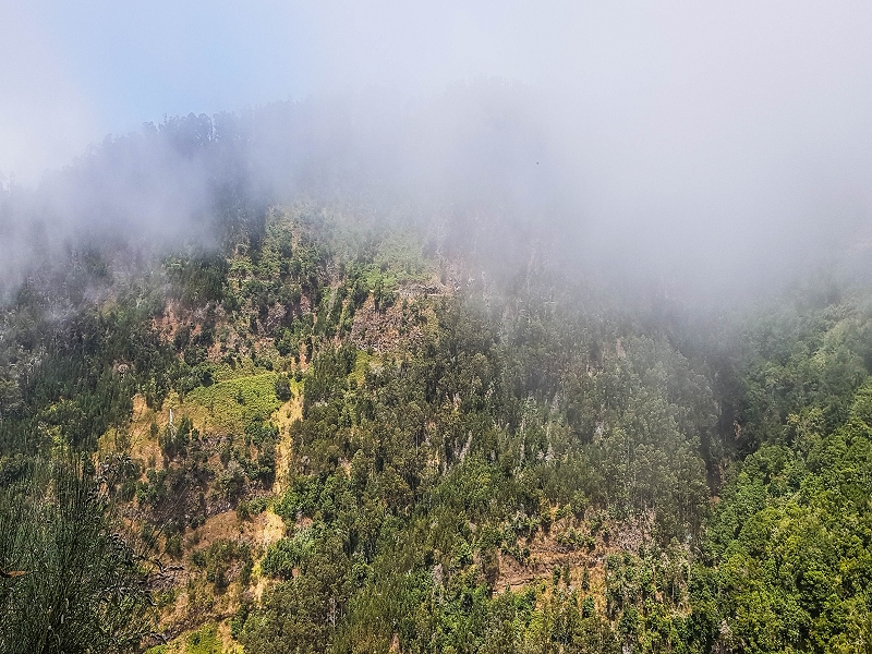 05.08.2021 Auf einem der schönsten Abschnitte der Levada Nova zwischen Arco Calheta und Canhas — Zurück zur mittleren Bachpassage — Foto 4