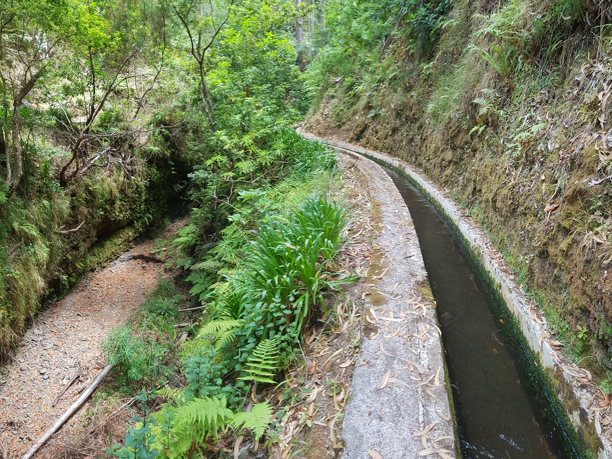05.08.2021 Auf einem der schönsten Abschnitte der Levada Nova zwischen Arco Calheta und Canhas — Zurück zur mittleren Bachpassage — Foto 7