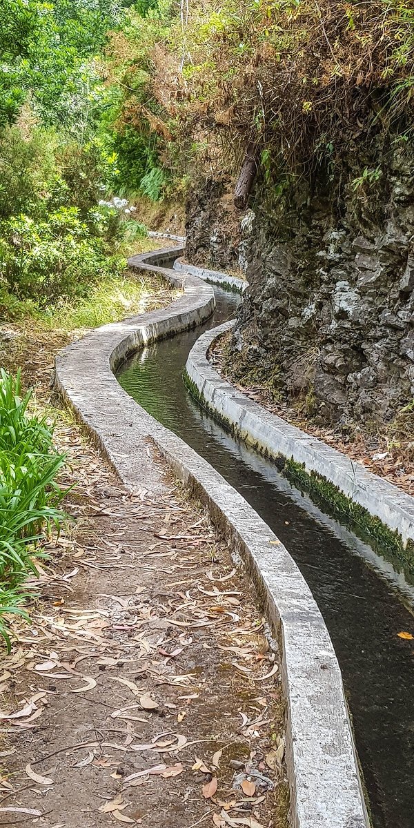 05.08.2021 Auf einem der schönsten Abschnitte der Levada Nova zwischen Arco Calheta und Canhas — Zurück zur mittleren Bachpassage — Foto 11