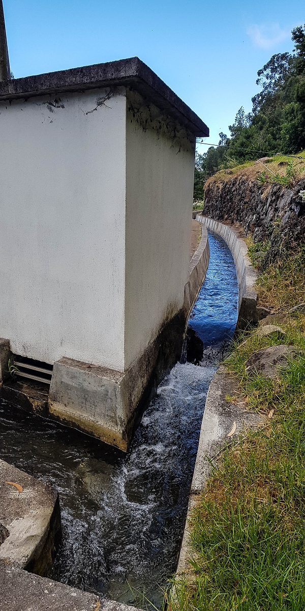 Levada Nova — Between Arco da Calheta and the first stream crossing — photo 4