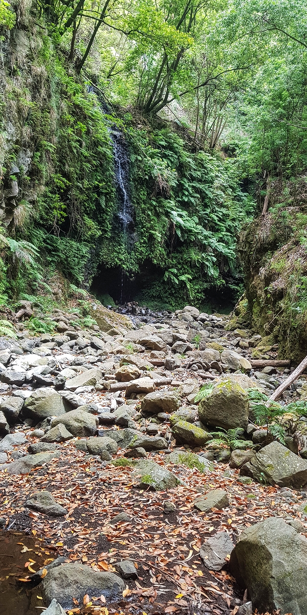 05.08.2021 Auf einem der schönsten Abschnitte der Levada Nova zwischen Arco Calheta und Canhas — Zurück zur mittleren Bachpassage — Foto 12