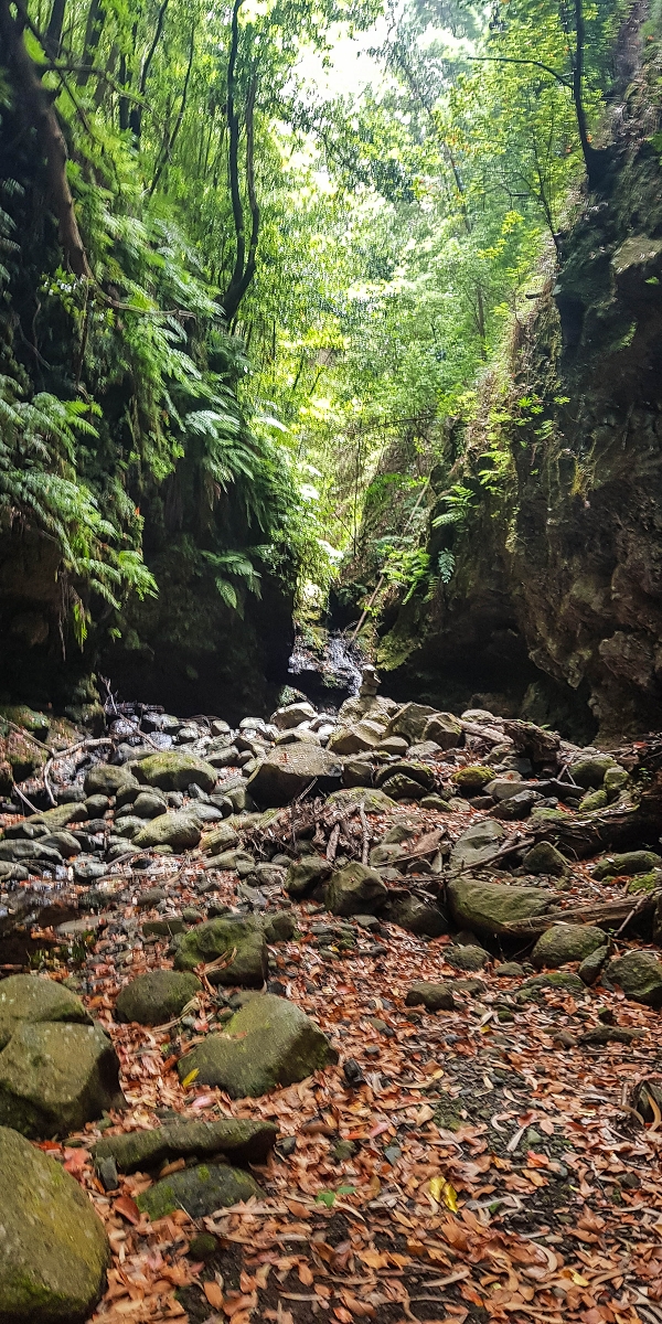 Levada Nova — Second crossing of the Ribeira da Madalena with the waterfalls — photo 5