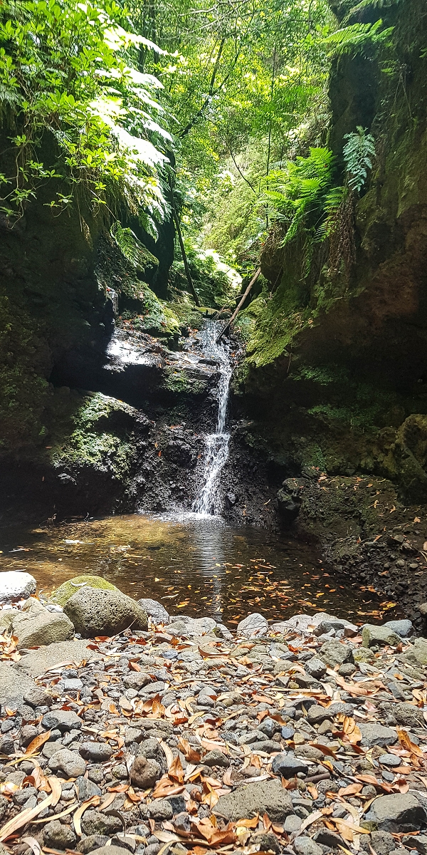 Levada Nova — Second crossing of the Ribeira da Madalena with the waterfalls — photo 6