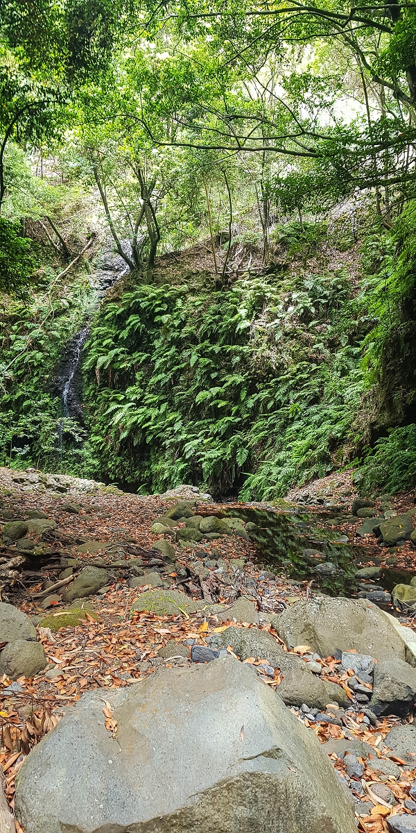 Levada Nova — Second crossing of the Ribeira da Madalena with the waterfalls — photo 7