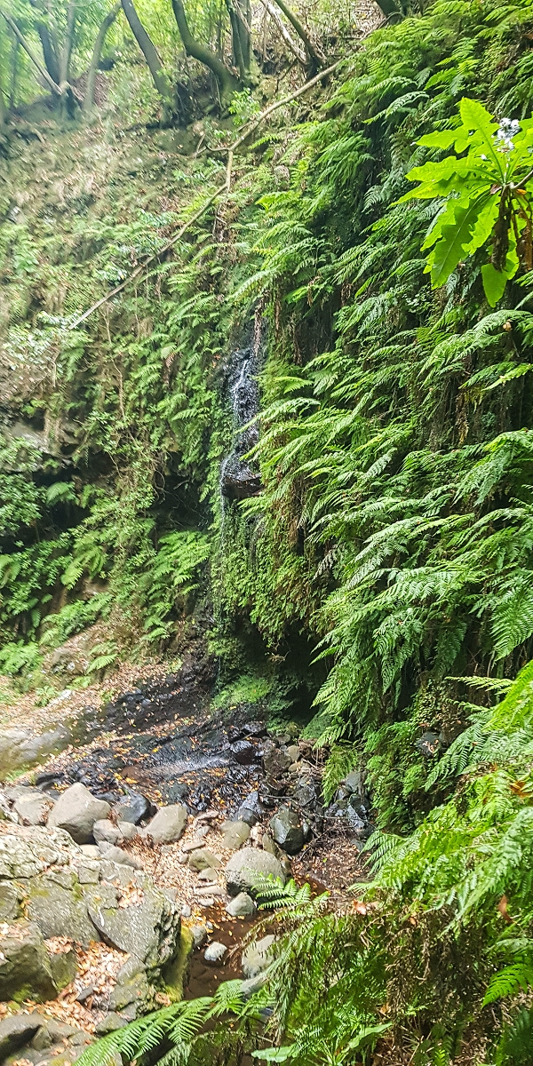 Levada Nova — Second crossing of the Ribeira da Madalena with the waterfalls — photo 8