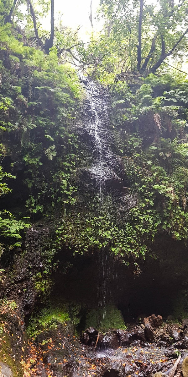 Levada Nova — Second crossing of the Ribeira da Madalena with the waterfalls — photo 11