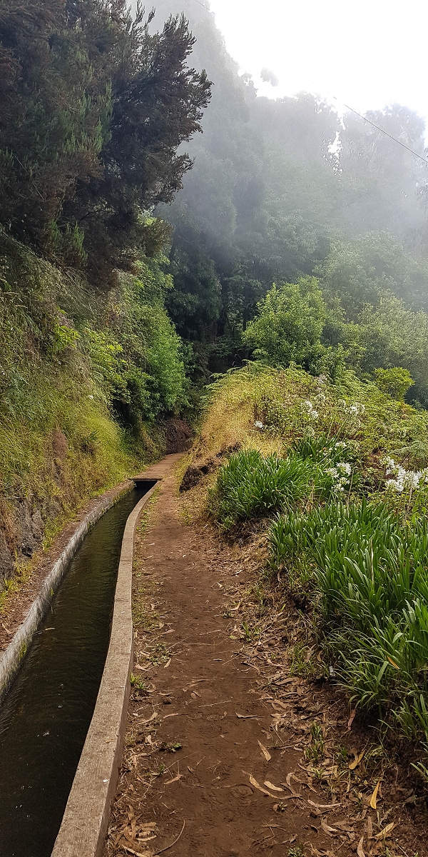 05.08.2021 Auf einem der schönsten Abschnitte der Levada Nova zwischen Arco Calheta und Canhas — Typischer Nova-Verlauf zu Beginn — Foto 9