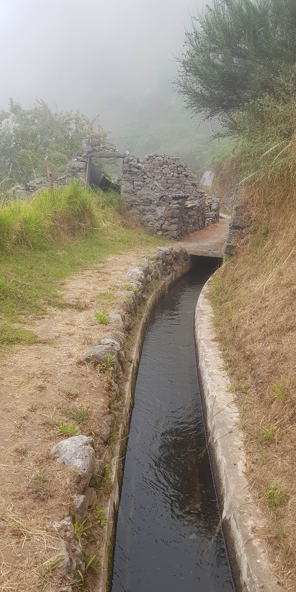 05.08.2021 Auf einem der schönsten Abschnitte der Levada Nova zwischen Arco Calheta und Canhas — Zurück zum Ausgangspunkt — Foto 1