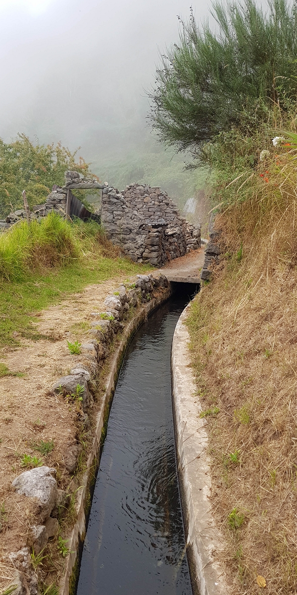 05.08.2021 Auf einem der schönsten Abschnitte der Levada Nova zwischen Arco Calheta und Canhas — Zurück zum Ausgangspunkt — Foto 2