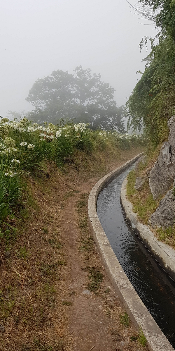 05.08.2021 Auf einem der schönsten Abschnitte der Levada Nova zwischen Arco Calheta und Canhas — Zurück zum Ausgangspunkt — Foto 3