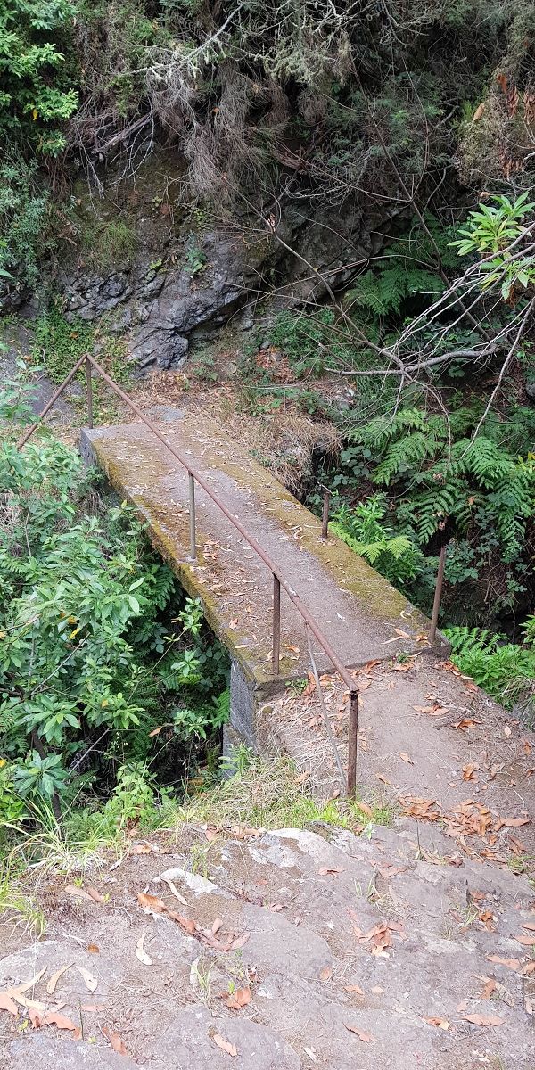 05.08.2021 Auf einem der schönsten Abschnitte der Levada Nova zwischen Arco Calheta und Canhas — Zurück zum Ausgangspunkt — Foto 4