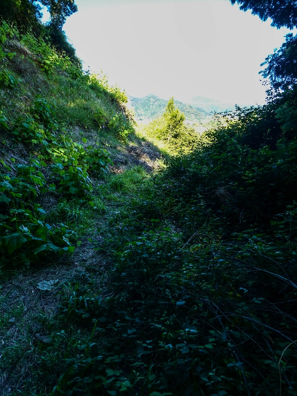 06.05.2019 Über den Pico da Coroa und die Boca do Risco — Von Maiata über Mostardal zur Levada da Fajazinha und zum Reservoir — Foto 10