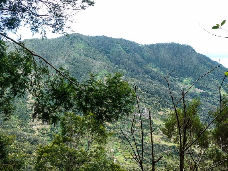 06.05.2019 Über den Pico da Coroa und die Boca do Risco — Auf dem Estrada Florestal da Serra das Funduras zu dessen Ende und zum Aussichtspunkt über Ribeira Seca — Foto 28