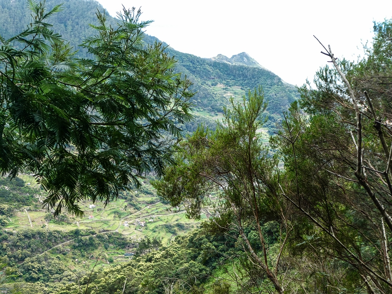 06.05.2019 Über den Pico da Coroa und die Boca do Risco — Auf dem Estrada Florestal da Serra das Funduras zu dessen Ende und zum Aussichtspunkt über Ribeira Seca — Foto 29