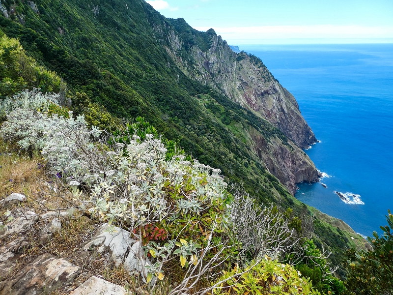 06.05.2019 Über den Pico da Coroa und die Boca do Risco — Abstieg über die Klippen zur Boca do Risco — Foto 2