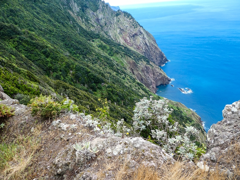 06.05.2019 Über den Pico da Coroa und die Boca do Risco — Abstieg über die Klippen zur Boca do Risco — Foto 4