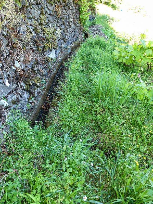 06.05.2019 Über den Pico da Coroa und die Boca do Risco — Von Maiata über Mostardal zur Levada da Fajazinha und zum Reservoir — Foto 11