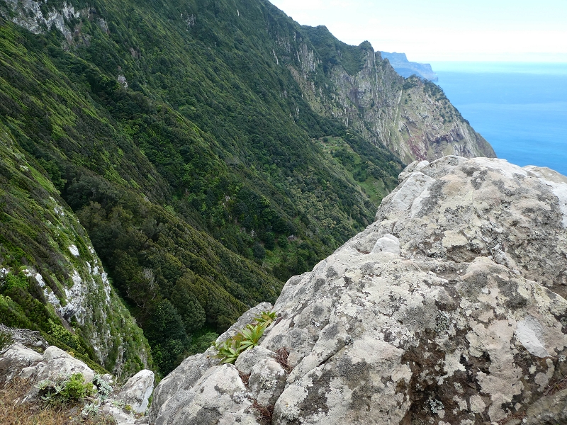 06.05.2019 Über den Pico da Coroa und die Boca do Risco — Abstieg über die Klippen zur Boca do Risco — Foto 6