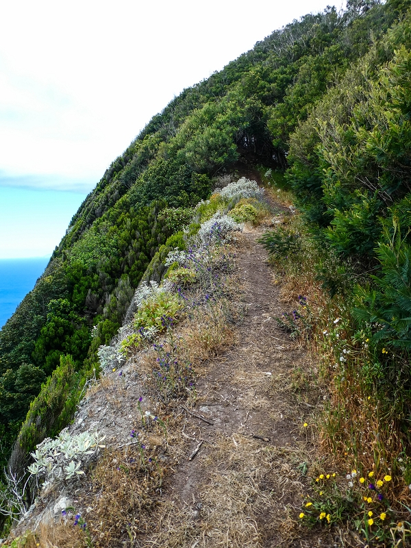 06.05.2019 Über den Pico da Coroa und die Boca do Risco — Abstieg über die Klippen zur Boca do Risco — Foto 7