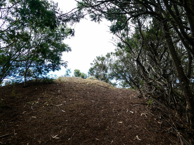 06.05.2019 Über den Pico da Coroa und die Boca do Risco — Abstieg über die Klippen zur Boca do Risco — Foto 9