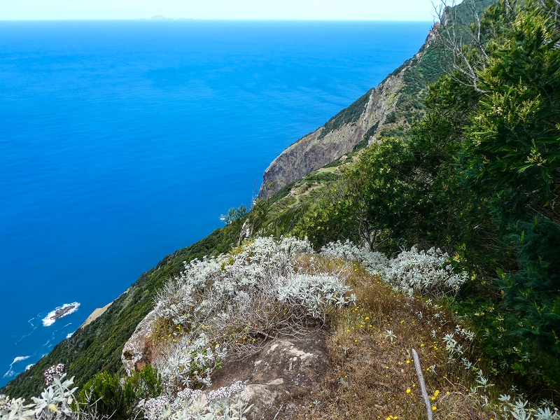 06.05.2019 Über den Pico da Coroa und die Boca do Risco — Abstieg über die Klippen zur Boca do Risco — Foto 10