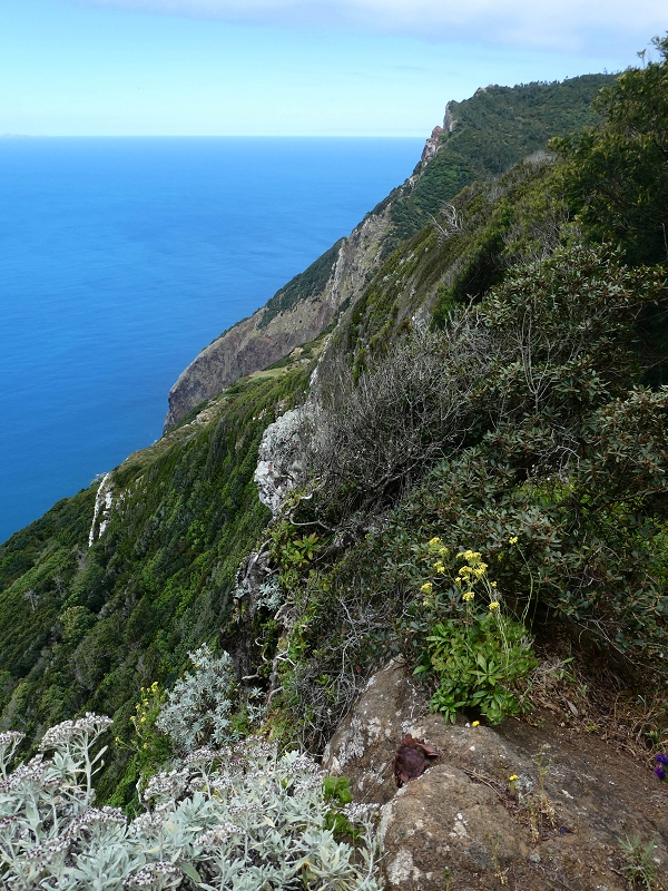06.05.2019 Über den Pico da Coroa und die Boca do Risco — Abstieg über die Klippen zur Boca do Risco — Foto 11